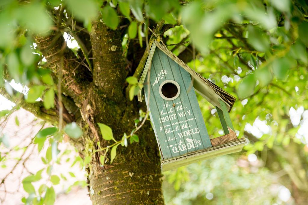 Ferienapartments Schnibbe Bad Lauterberg Zewnętrze zdjęcie